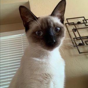 Meet your Posher, Geri